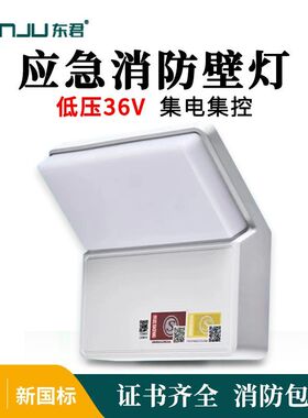 东君DJ-03G低压36V壁灯智能消防集中电源集中控制壁挂应急照明灯