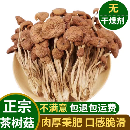 新货不开伞茶树菇干货500g包邮河南特产农家手选无硫新菇香菇新鲜