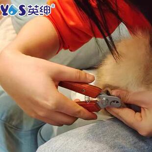 英绅宠物指甲剪猫咪狗狗剪指甲刀防抓指甲钳猫爪专用专业磨甲神器