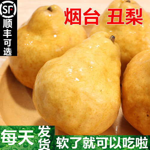 山东烟台莱阳当季新鲜丑梨整箱