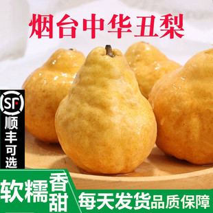 山东烟台中华丑梨5斤新鲜软糯当季莱阳太婆梨啤梨鸭梨礼盒装整箱