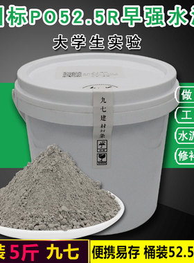 普通硅酸盐PO52.5R早强水泥