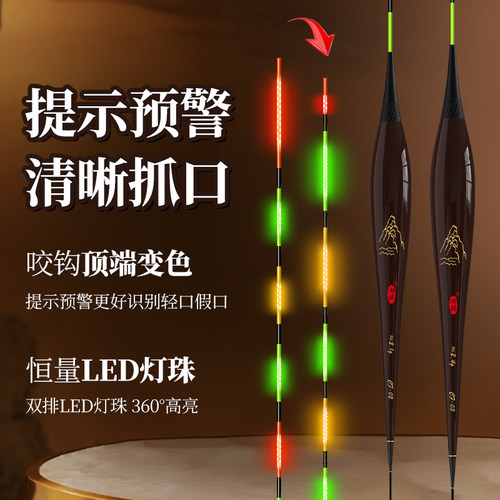 湘群一目提示咬钩变色电子夜光漂