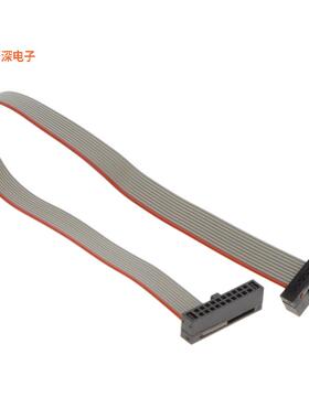 RTE0T00020KCAC1000J |原装全新CABLE FOR THE E2 EMULAT