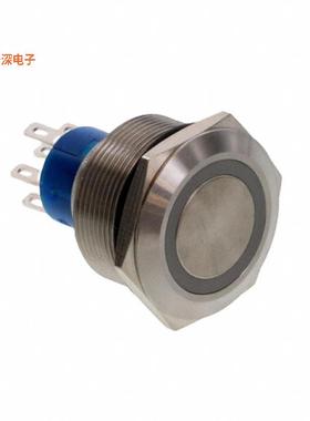AV2521E312Q04 |前面板安装SWITCH PUSHBUTTON DPDT 3A 250V