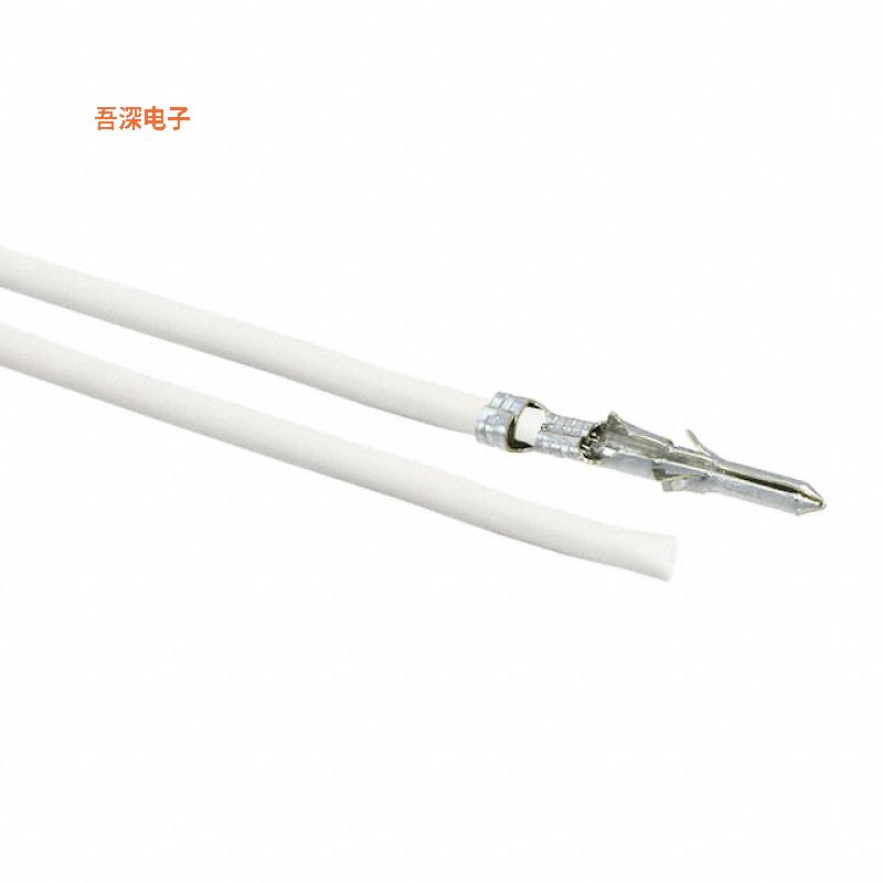 0002062101-10-W2 |接触端10