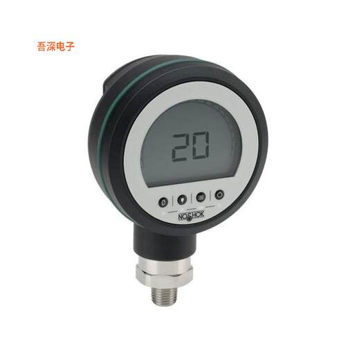 PGE20-6000PSIG-1-2 |原装全新Digital Gauge,4 1/2-Digi