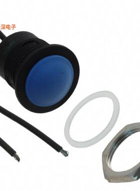 IAR3F1100 |前面板安装SWITCH PUSH SPST-NO 2A 24V