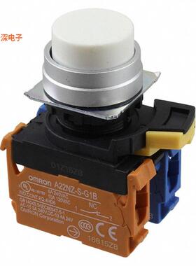 A22NN-MPM-NWA-G102-NN |原装全新SWITCH PUSH DPST-NO/N