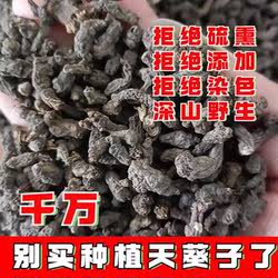 新货正品天葵子 紫背天葵籽 千年老鼠屎金耗子屎天葵根100克