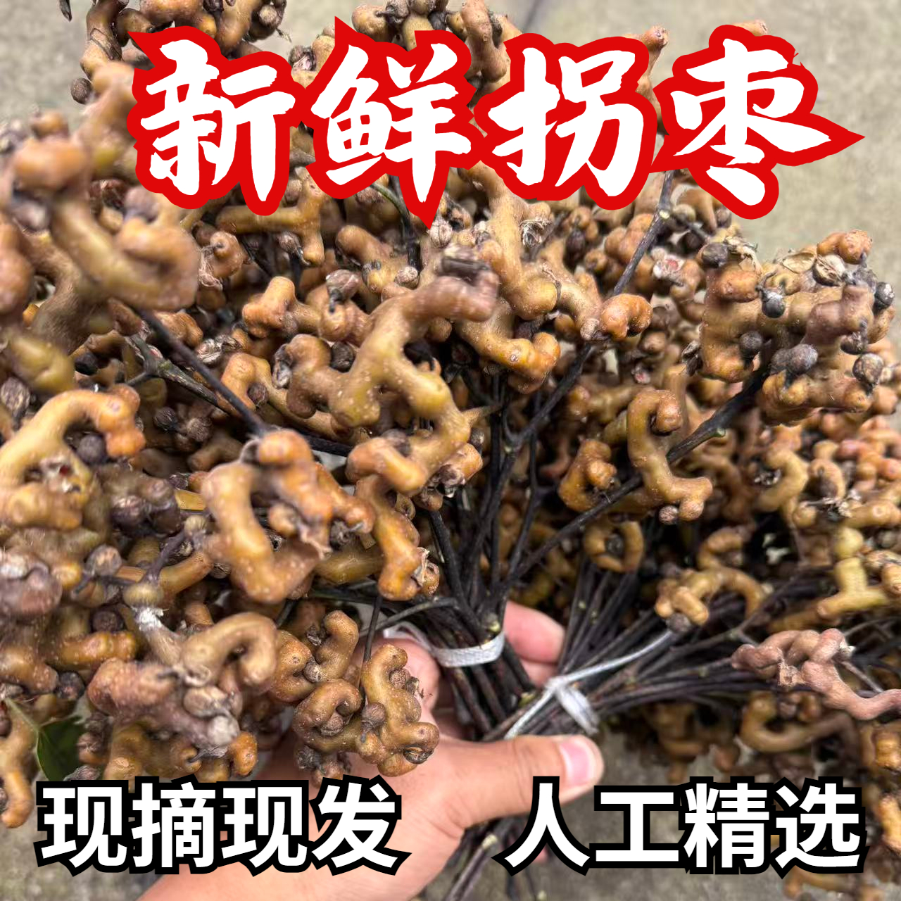 新鲜拐枣泡酒干拐枣 鸡爪梨拐枣泡酒拐枣500克枳椇子新鲜