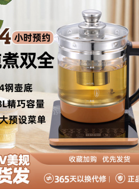 110V美规养生壶多功能煮茶器
