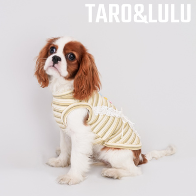 Taro独立设计狗狗衣服夏秋防掉毛