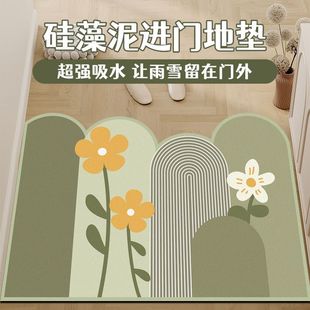 小清新入门地垫家用进门玄关垫吸水耐磨脚垫可 硅藻泥门垫新款
