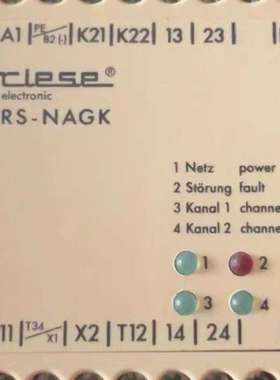 德国TLESE安全继电器RS-NAGK-议价；