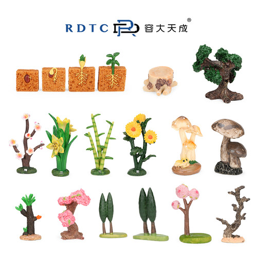 容大天成心理产品心理沙盘摆件心理沙盘沙具沙盘游戏植物模型树梅