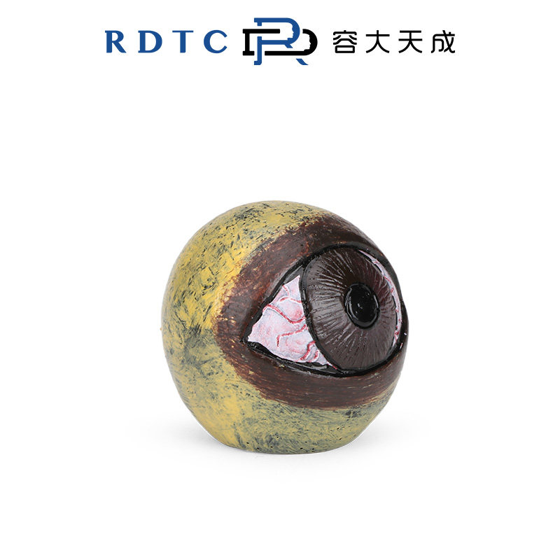 [RONGDA 원래 심리적 모래 세트] 안구 모델 시뮬레이션 수지 눈 구슬 표현 장식품 모래 테이블 장면