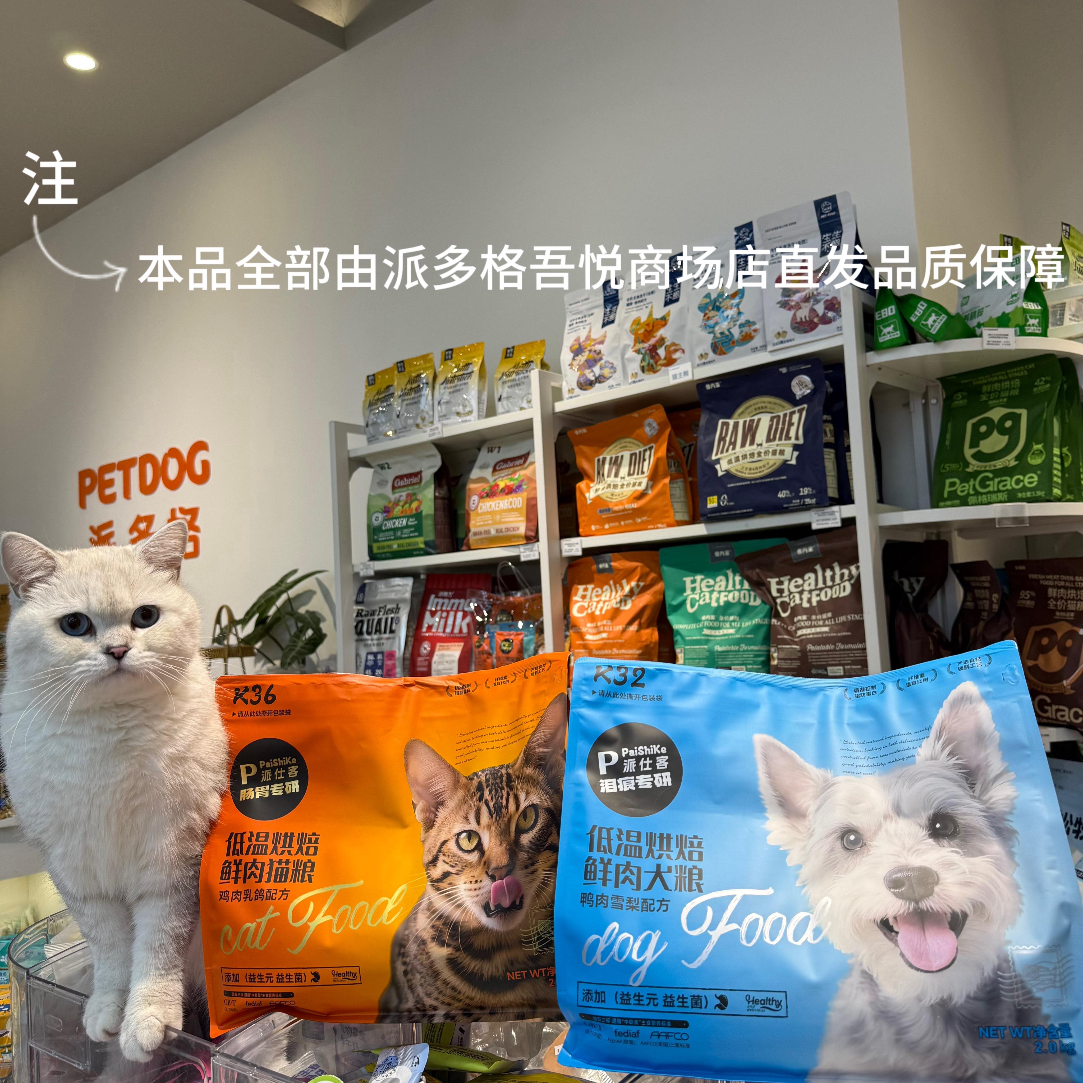 烘焙鸡肉乳鸽猫粮鸭肉雪梨犬粮