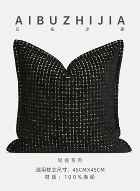 意式轻奢软装高档压线黑色抱枕沙发客厅靠枕样板房床品方形靠垫套