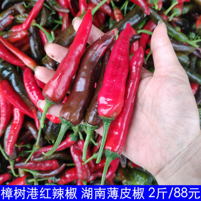 2斤 正宗樟树港红辣椒 湖南特产 新鲜红辣椒 农家自种 顺丰包邮