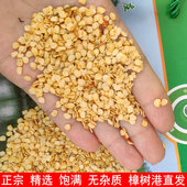 纯正种子 优质辣椒籽 原产地直发 正宗樟树港辣椒种子 2025新种