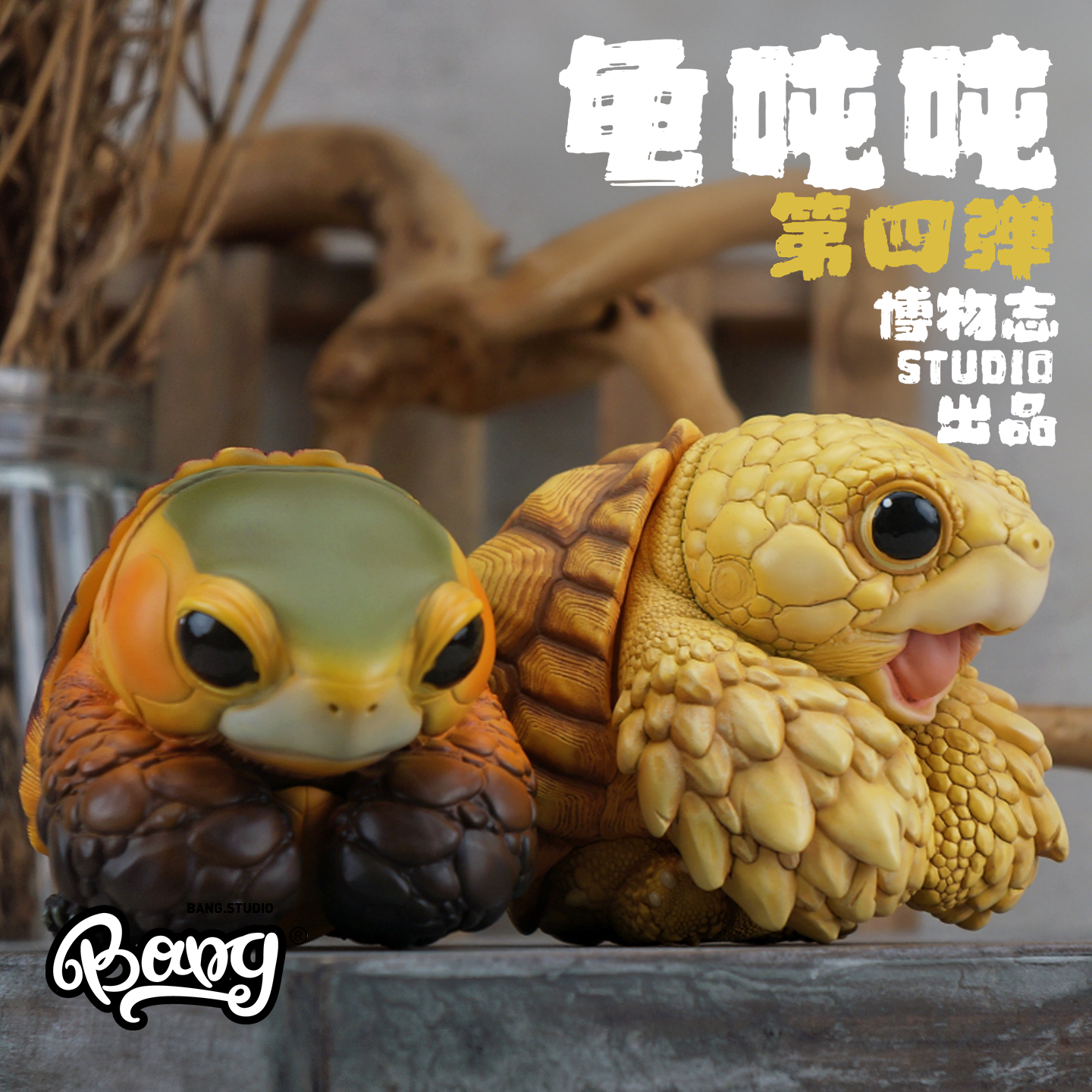 博物志吨吨动物园龟苏卡达黄缘