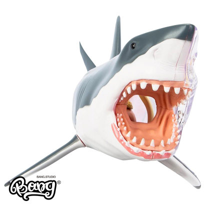 【Bang】现货 4D MASTER 鲨鱼解剖 解剖动物 玩具 Jason Freeny