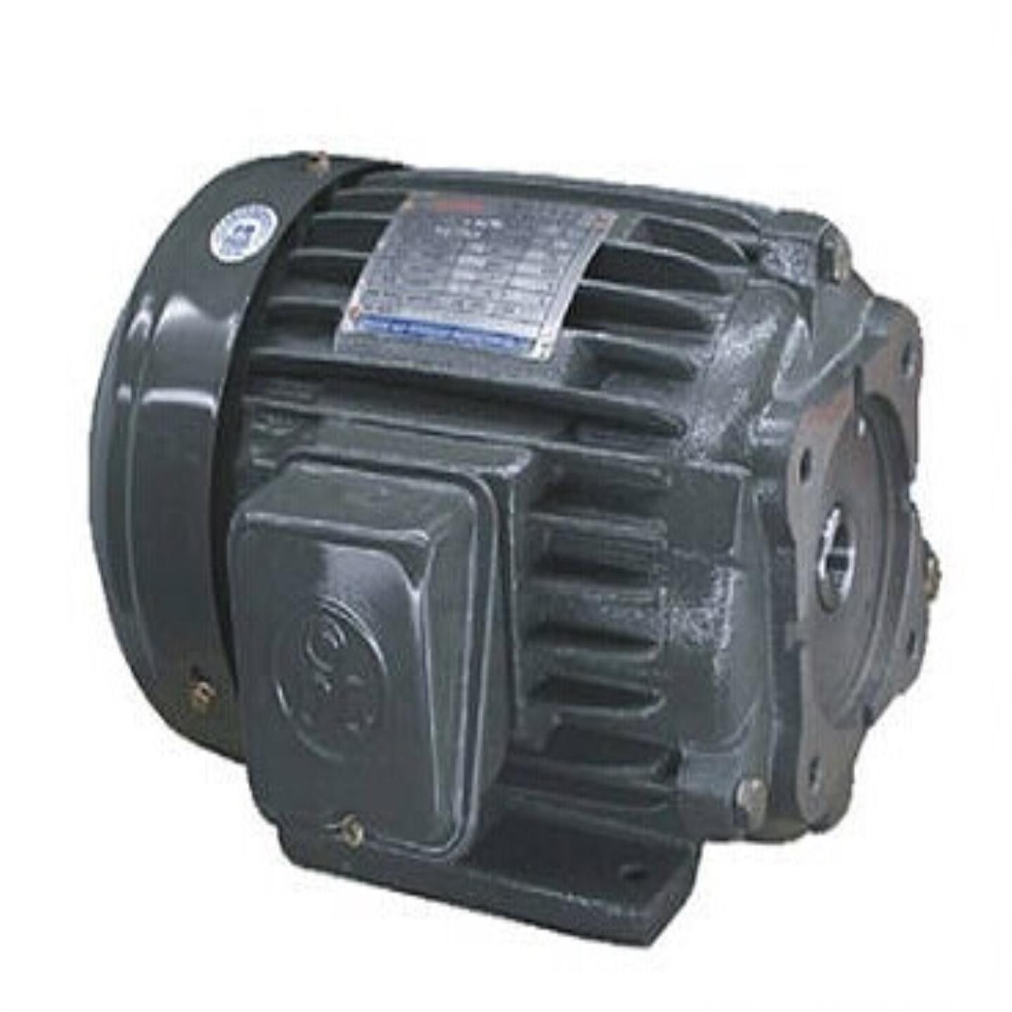 DL电机 DOLIN马达 DONGLING电机 AEEF AEVF AEVF80-4 1HP 075KW