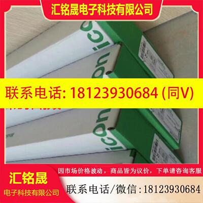 PLC模块 TSXSAY1000  库存现货