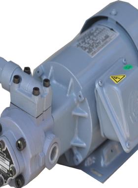 TOP-2MY400-220HBM  NOP油泵 电机 马达 TOP-IME100-1-12MAVB