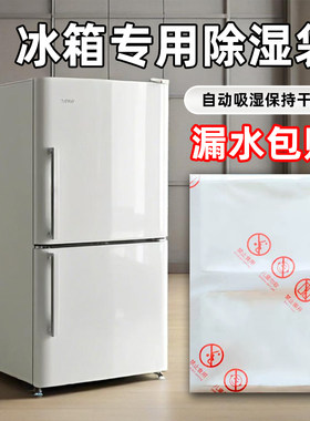 冰箱除湿干燥防潮除味吸水防冻