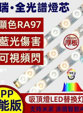 美国普瑞全光LED灯芯眼客餐吸形蹄磁吸遥控APP BY