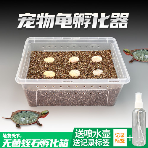 龟友天下爬宠乌龟蛋孵化箱蛭石