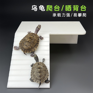 乌龟专用晒台防滑晒背台水陆龟爬台塑料板宠物石头浮岛大号躲避屋