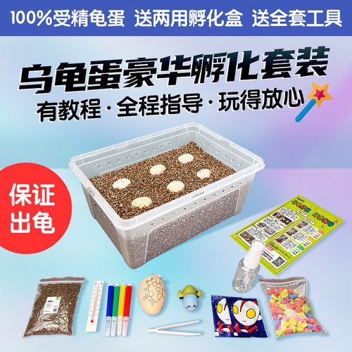 龟友天下乌龟蛋可孵化儿童实验盒