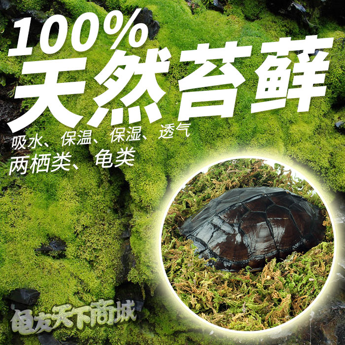【包邮】爬宠专用天然干水苔藓青苔兰花石斛栽培乌龟保湿保温垫材
