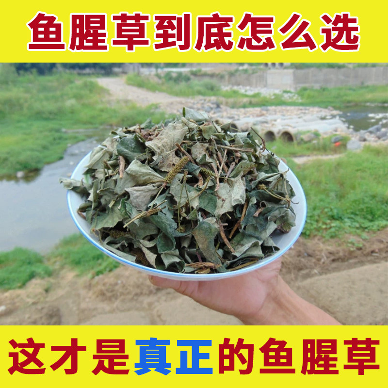 野生鱼腥草干货泡水喝中药材鱼星草干鱼鲤草鱼心草鱼辛草鱼蓟醒草