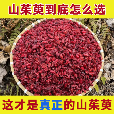 秦岭新货山茱萸肉精选品质