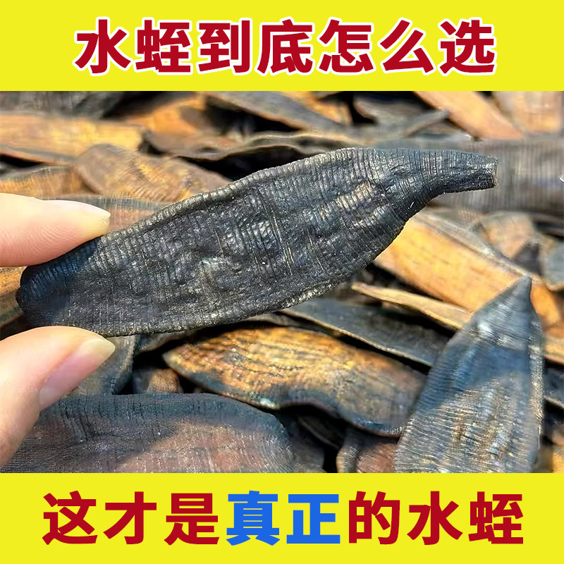 水蛭中药材清水水蛭干水蛭片的功效金边医用野生蚂蝗水蛭水致水至