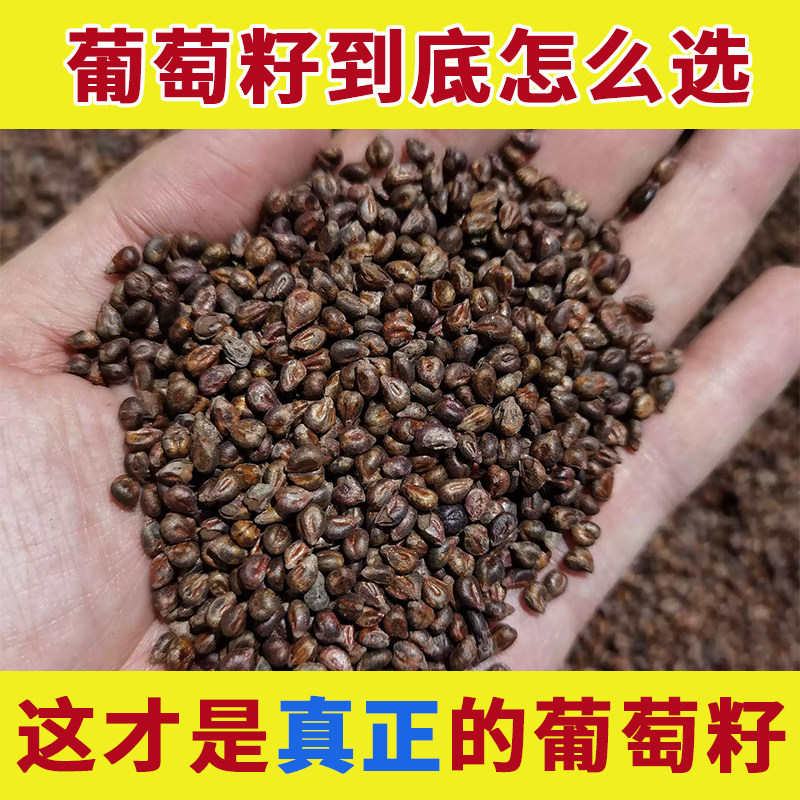 新疆吐鲁番葡萄籽中药材正品葡萄子粉新鲜干货冲茶食用面膜粉敷脸