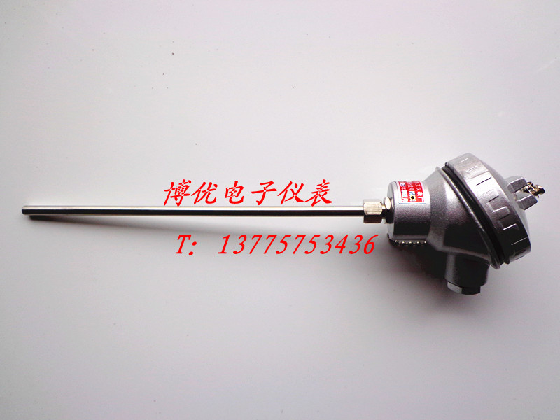 防腐热电偶/热电阻WZPF-131 温度传感器PT100 L=150MM（钛管）