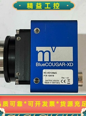 MvblueCougar-xdBC-XD129aG德国--议价商品