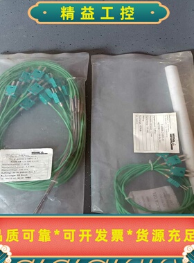 ROSSEL进口热电偶，2-4006-01891-11，探头--议价商品