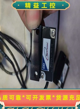 MICROESYSTEMS读数头MERCURYII--议价商品