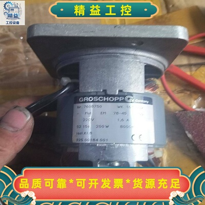 德国GROSCHOPP220高速电机8000转200W--议价商品
