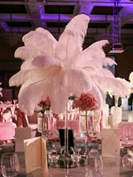 Высококачественный, 15-20см