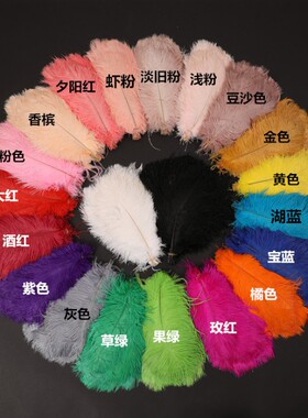 鸵鸟毛25-30cm网红拍照羽毛墙主播背景墙材料配件婚庆羽毛布置