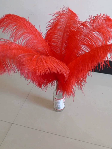 От 50 до 55 см. Крупные стержневые перья Свадебного Свадебного события Стол Стол Цветочный Комнат Интерьер декоративные ювелирные аксессуары