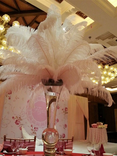 40-45 см. Свадебная мебель Свадебная обстановка страуса сцены