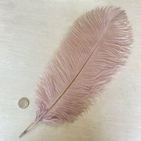 Светло-розовый